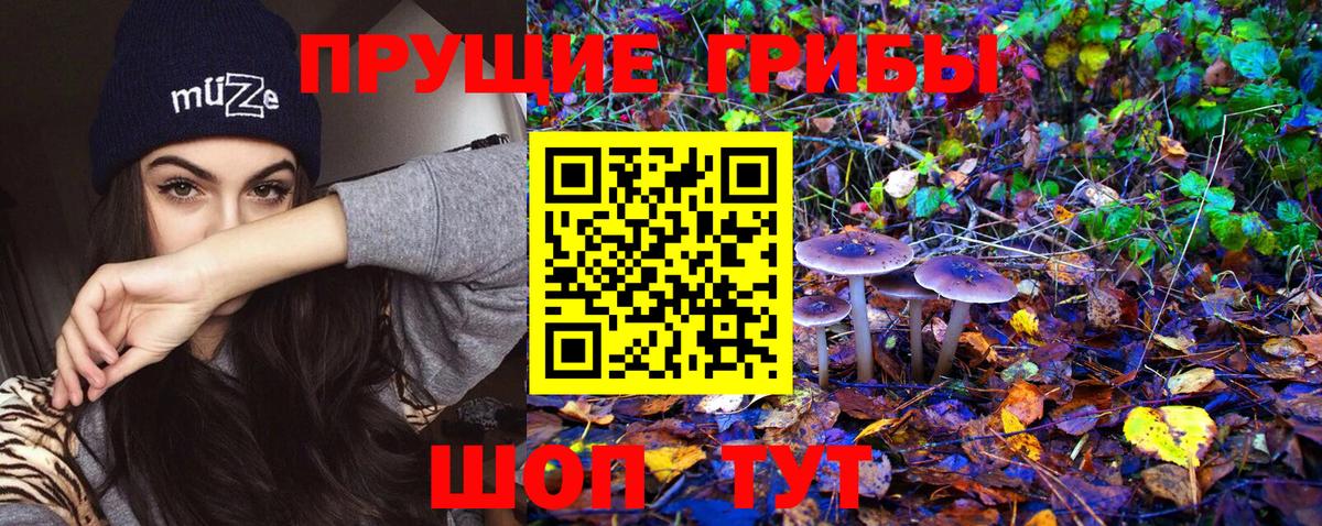 закладки  Галлюциногенные грибы Magic Shrooms  Еманжелинск  Вход с VPN  Псилоцибиновые грибы ЛСД 